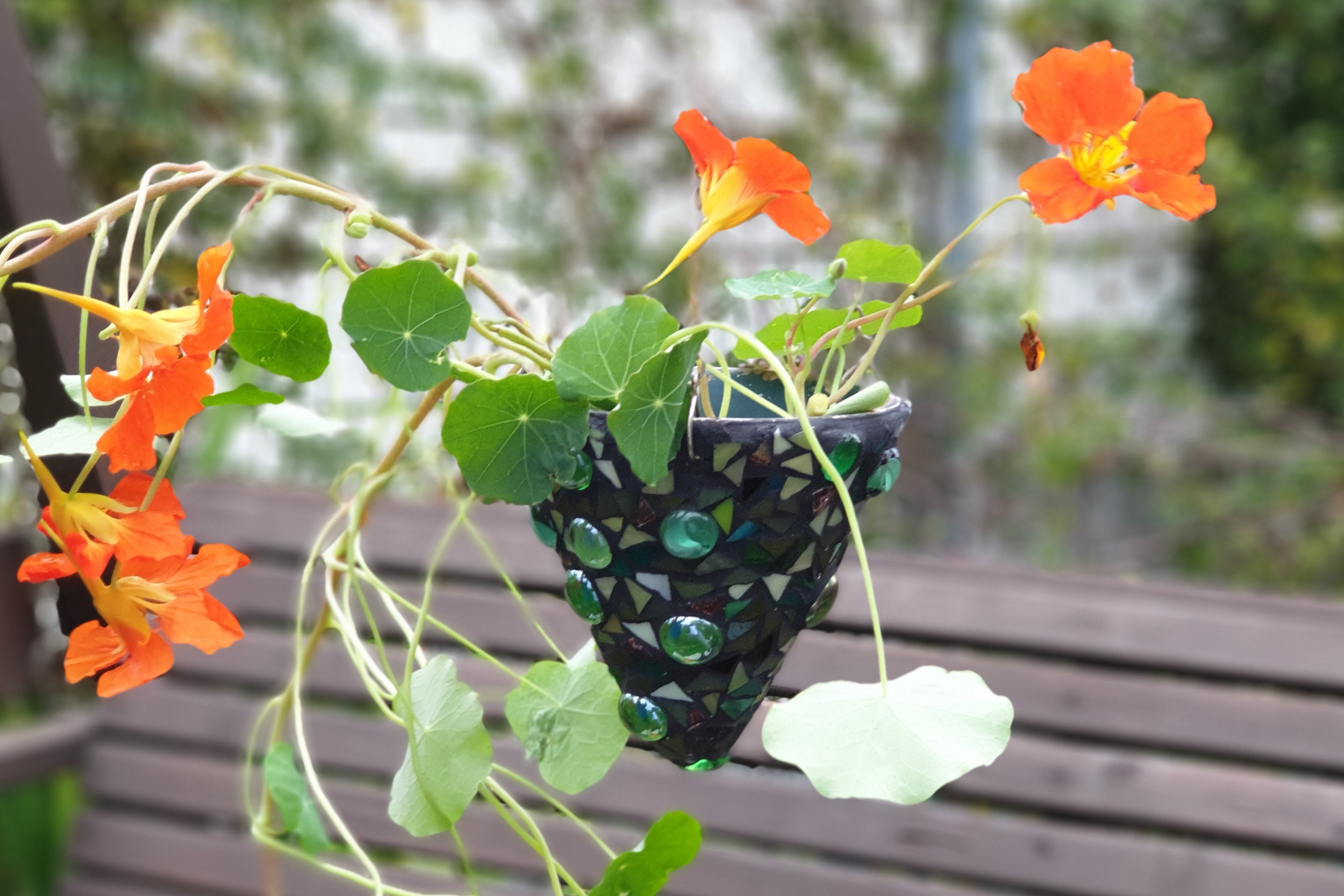 20191172308_Website_KGW